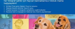 Sokak Hayvanları İçin Marmara Forum’da Buluşalım afiş