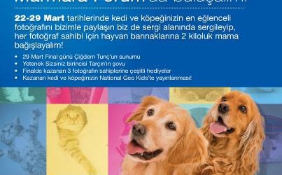 Sokak Hayvanları İçin Marmara Forum’da Buluşalım