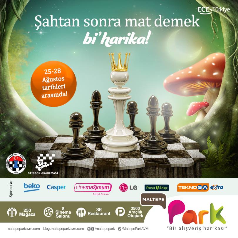 Maltepe Park Satranç Turnuvası