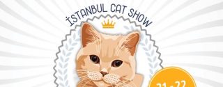 İstanbul Cat Show afiş