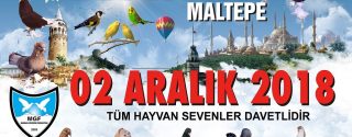 2. İstanbul Güvercin Festivali afiş