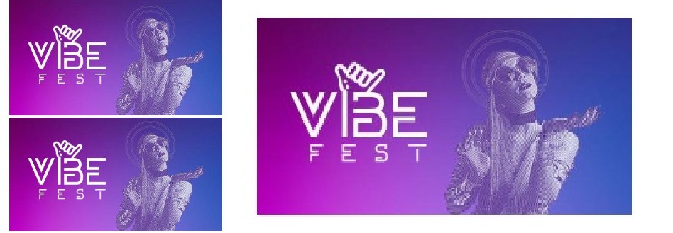 Vibe Fest