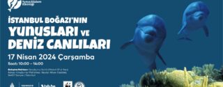 İstanbul Boğazı Yunus Gözlem Etkinliği afiş